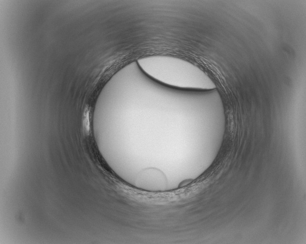 X0000116640042200912140954