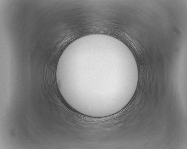 X0000116640043200912140954