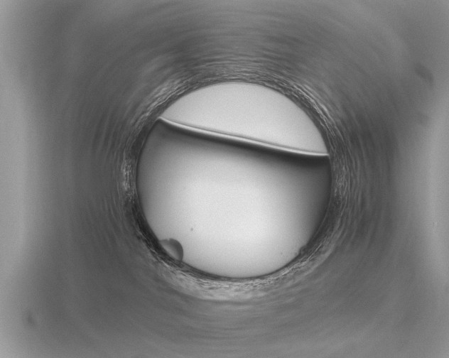 X0000116640044200912140954