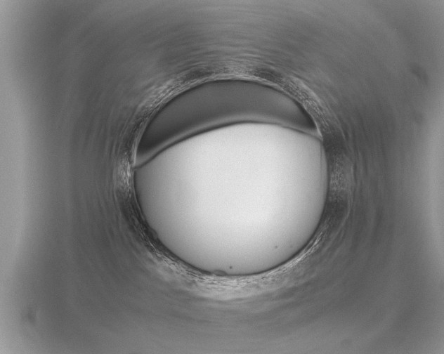 X0000116640045200912140954