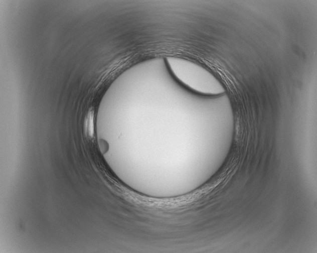 X0000116640046200912140954