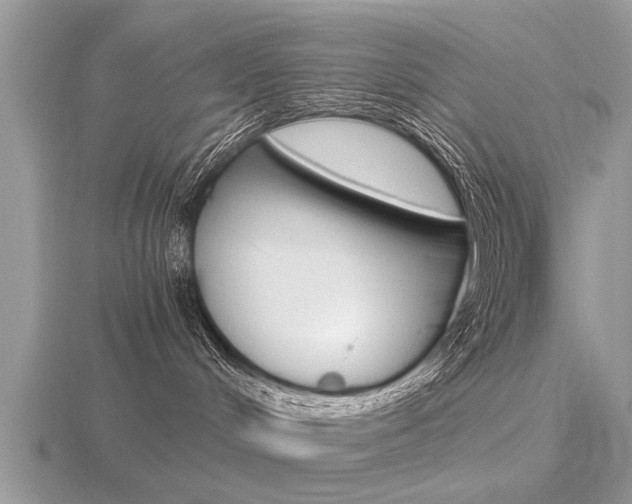 X0000116640048200912140954