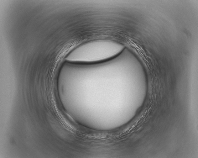 X0000116640049200912140953