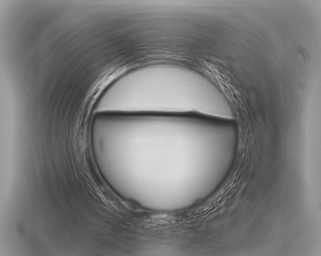 X0000116640050200912140953