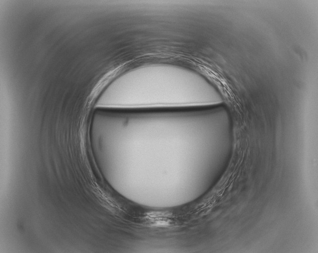 X0000116640051200912140953