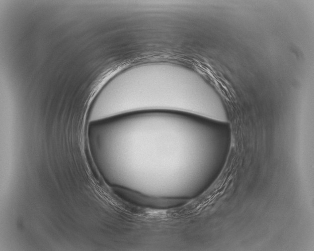 X0000116640052200912140953