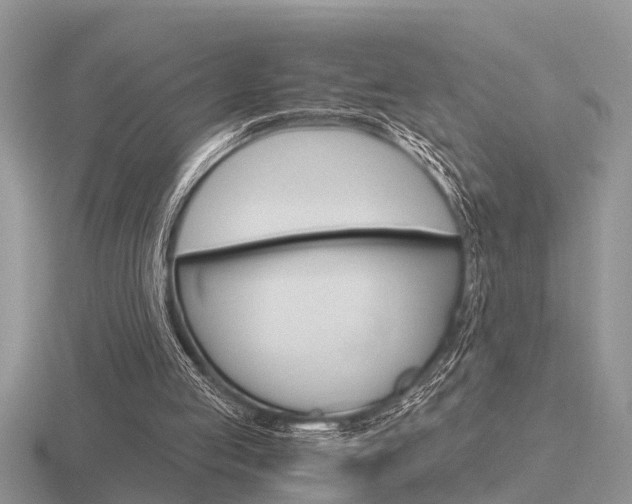 X0000116640053200912140953