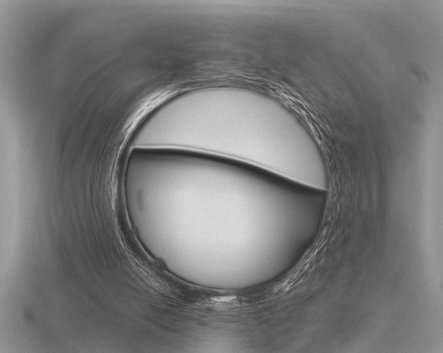 X0000116640054200912140953