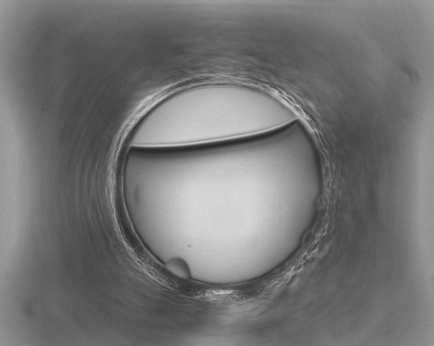 X0000116640055200912140953