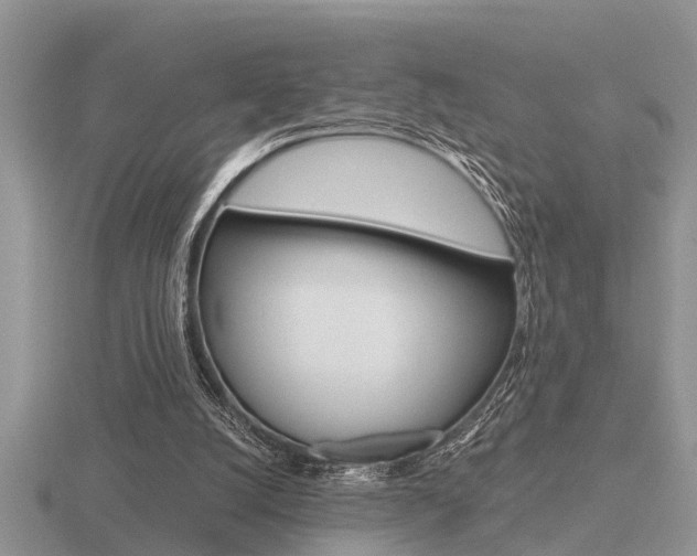 X0000116640056200912140953