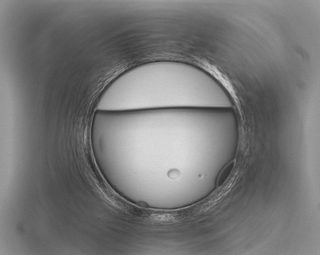 X0000116640057200912140953