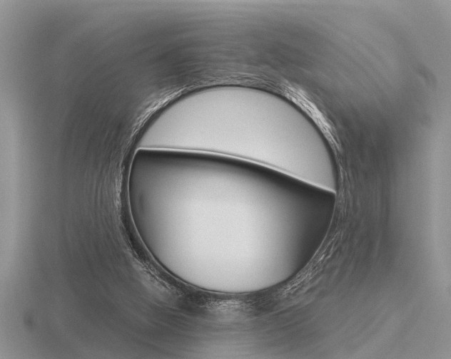 X0000116640058200912140953