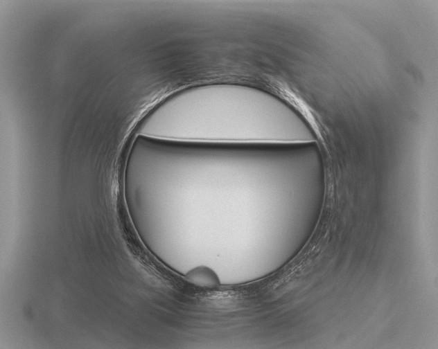 X0000116640059200912140953