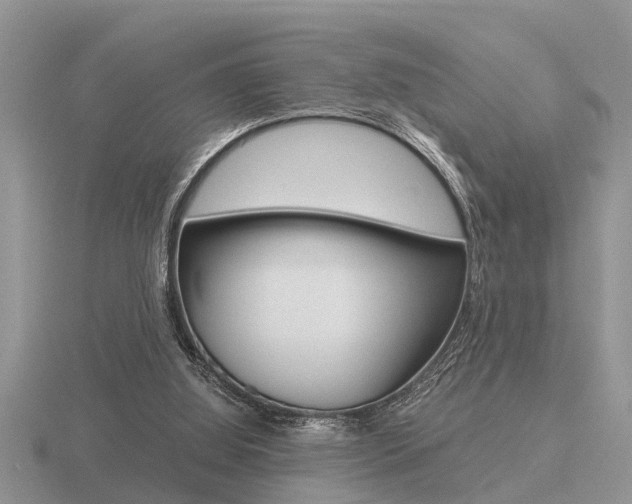 X0000116640060200912140953