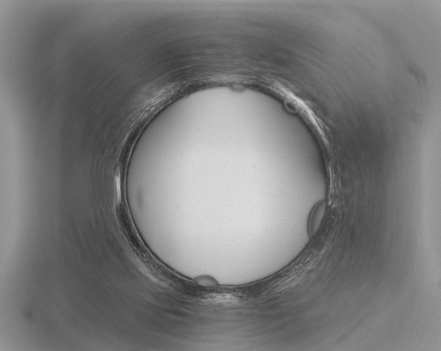 X0000116640061200912140953