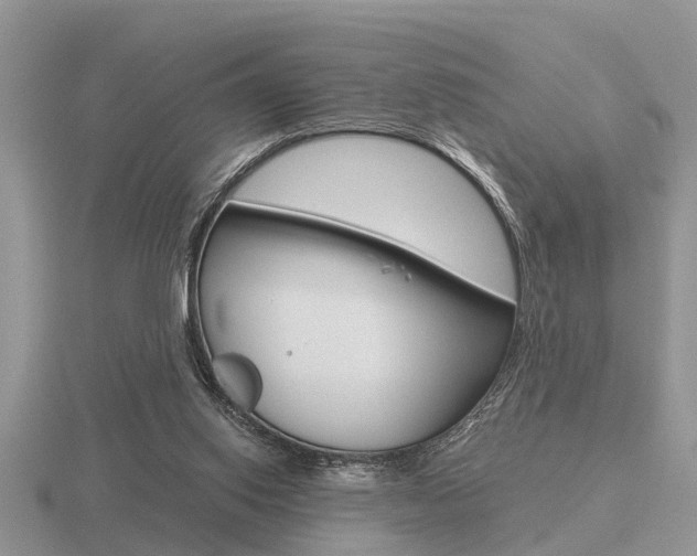 X0000116640062200912140953