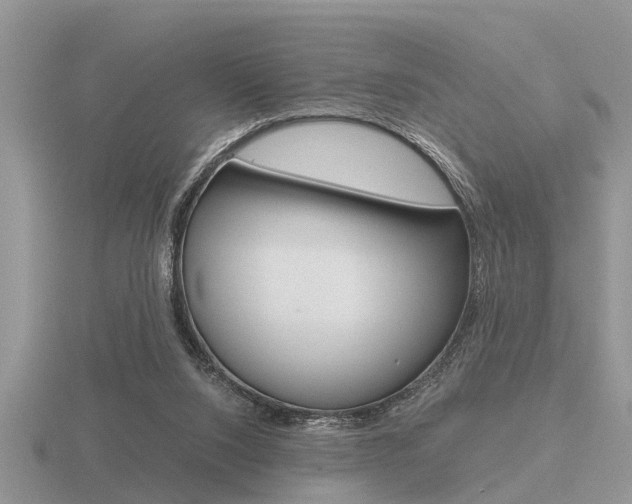 X0000116640064200912140953