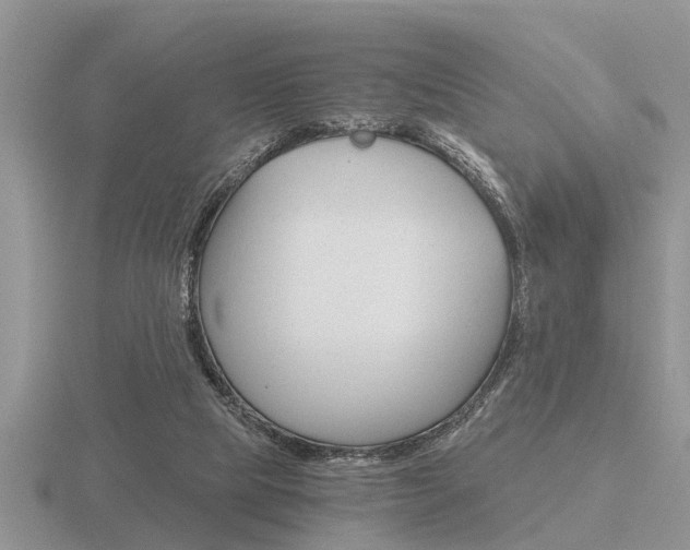 X0000116640065200912140953