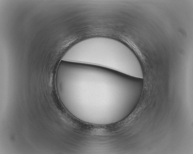 X0000116640066200912140953