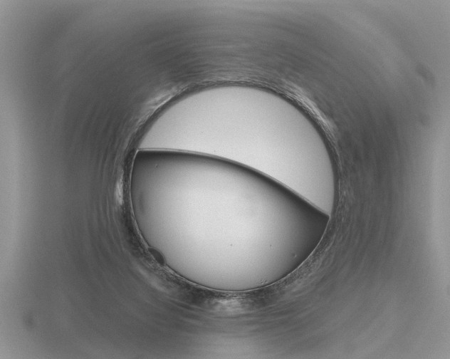 X0000116640068200912140953