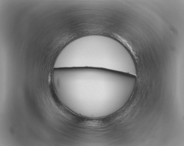 X0000116640069200912140953