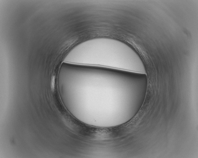 X0000116640070200912140953