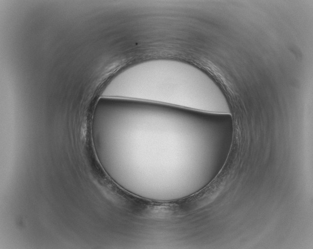 X0000116640072200912140953