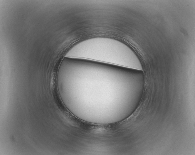 X0000116640074200912140953