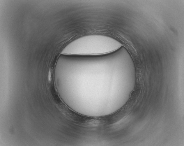 X0000116640075200912140953