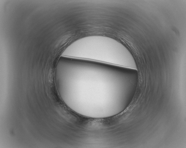 X0000116640078200912140953