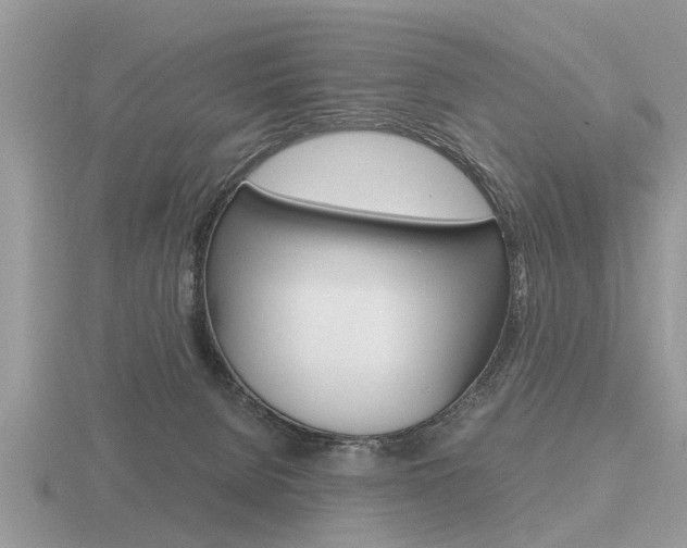 X0000116640080200912140954