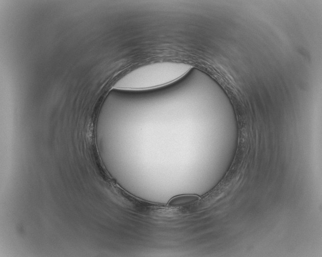 X0000116640081200912140954