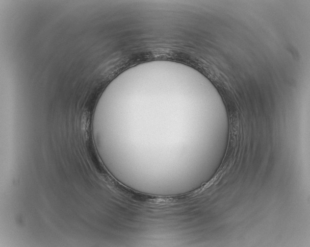 X0000116640082200912140954