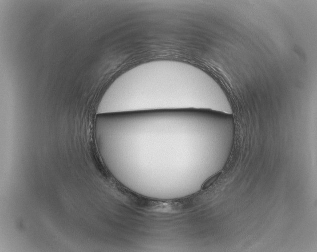 X0000116640083200912140954