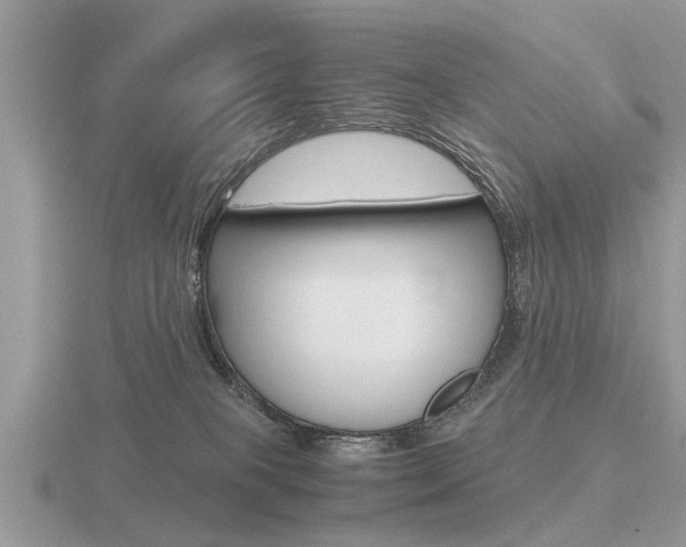 X0000116640085200912140954