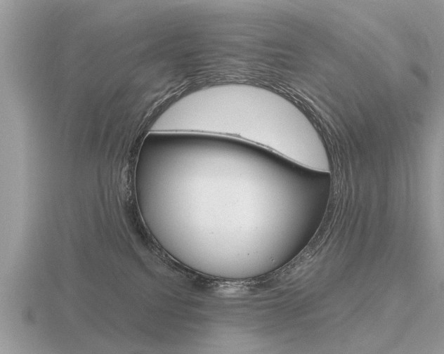 X0000116640088200912140954