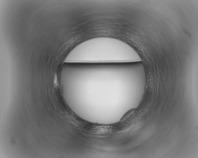 X0000116640089200912140954