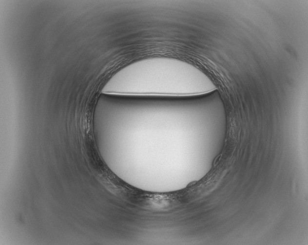 X0000116640091200912140954