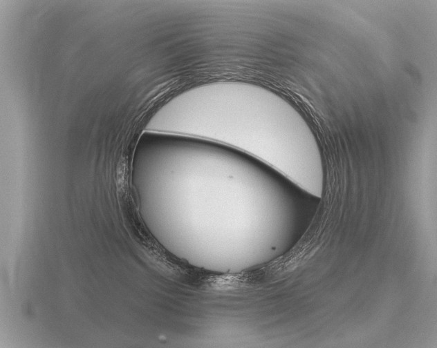 X0000116640092200912140954