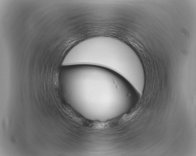 X0000116640096200912140954