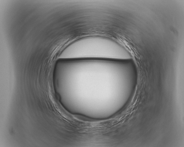 X0000116640097200912140953