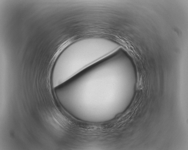 X0000116640099200912140953