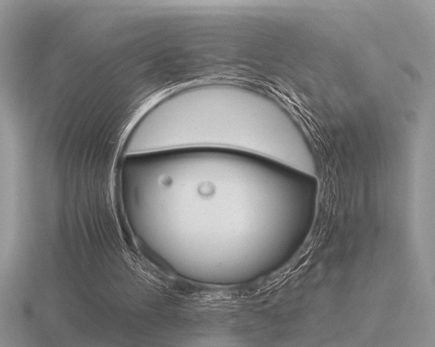 X0000116640100200912140953