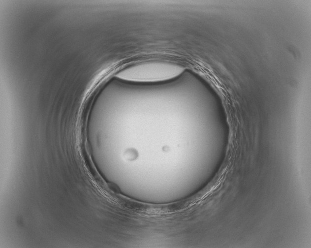 X0000116640101200912140953