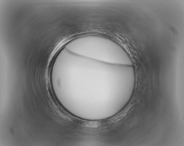 X0000116640102200912140953