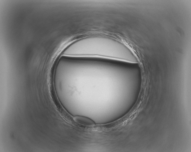 X0000116640103200912140953