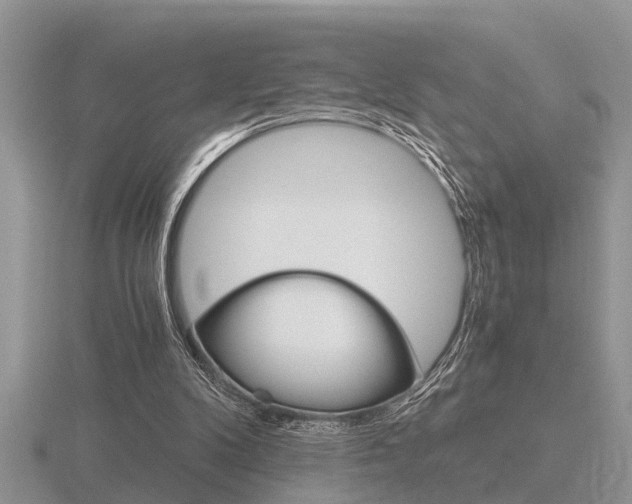 X0000116640104200912140953