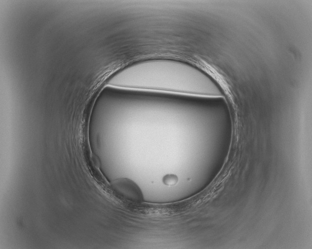 X0000116640105200912140953