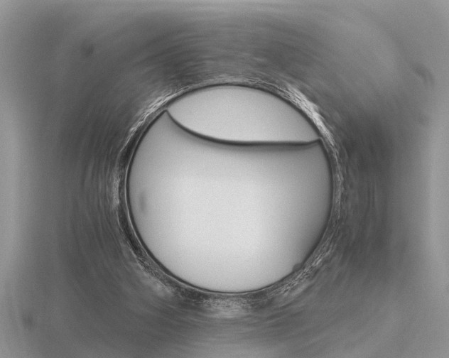 X0000116640106200912140953