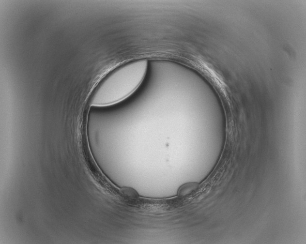 X0000116640107200912140953